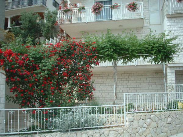 Lana Apartments Trogir Exterior foto